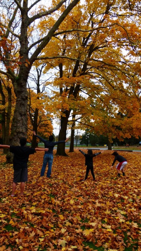 GORGEOUS fall colors all around!