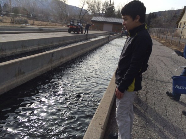 fishhatchery